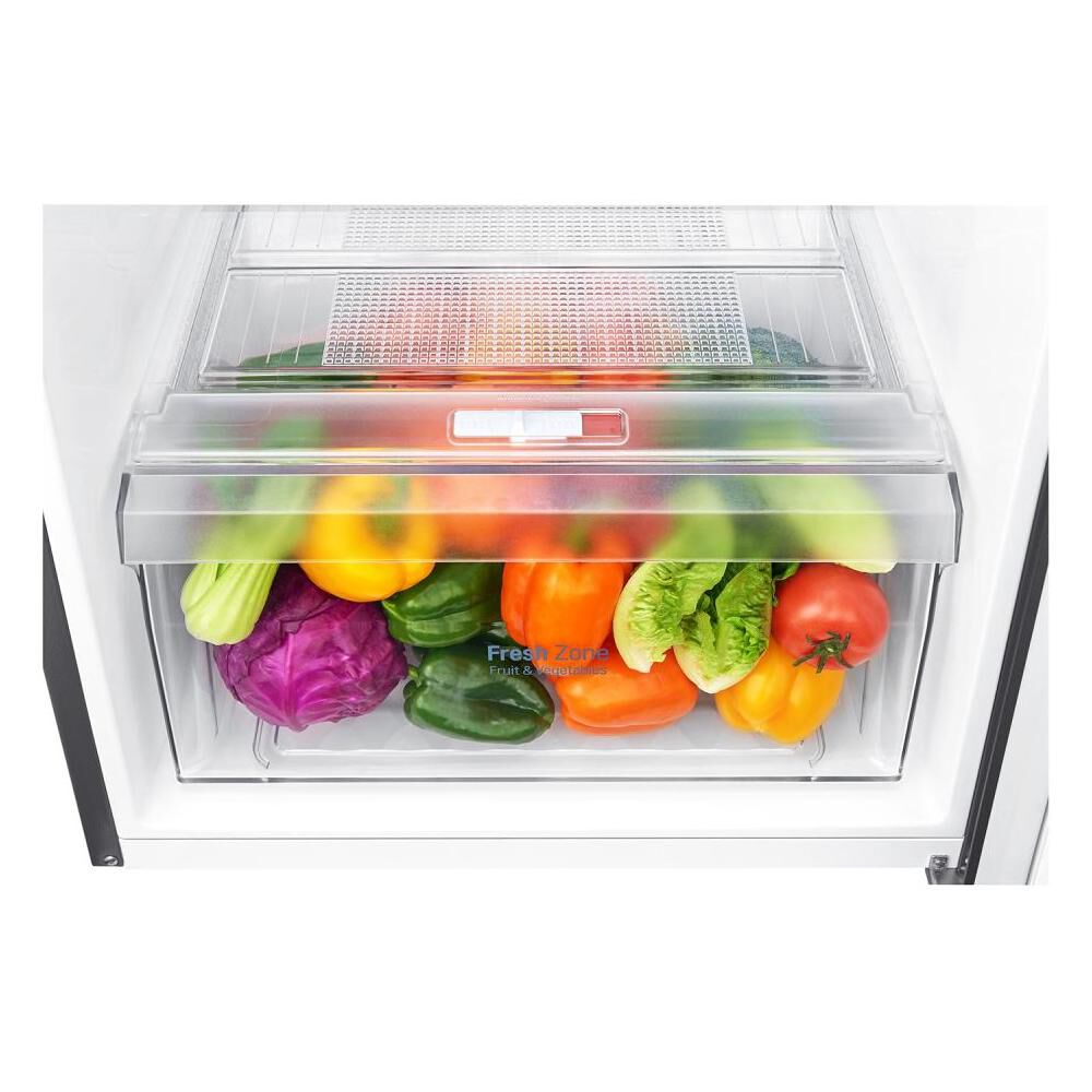 Refrigerador Top Freezer LG GT29WPPDC / No Frost / 254 Litros / A+ image number 9.0