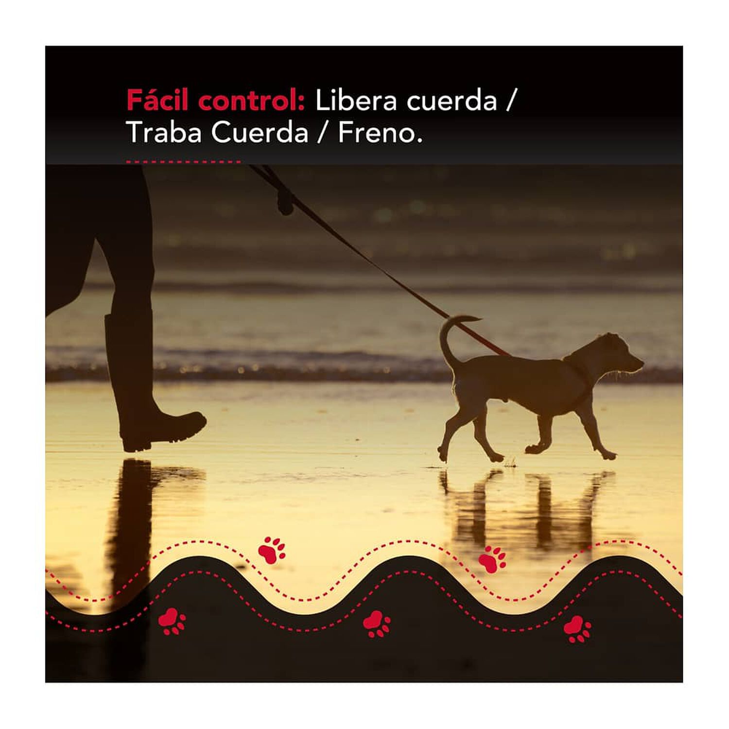 Correa Luminosa Thor Light Leash S image number 5.0