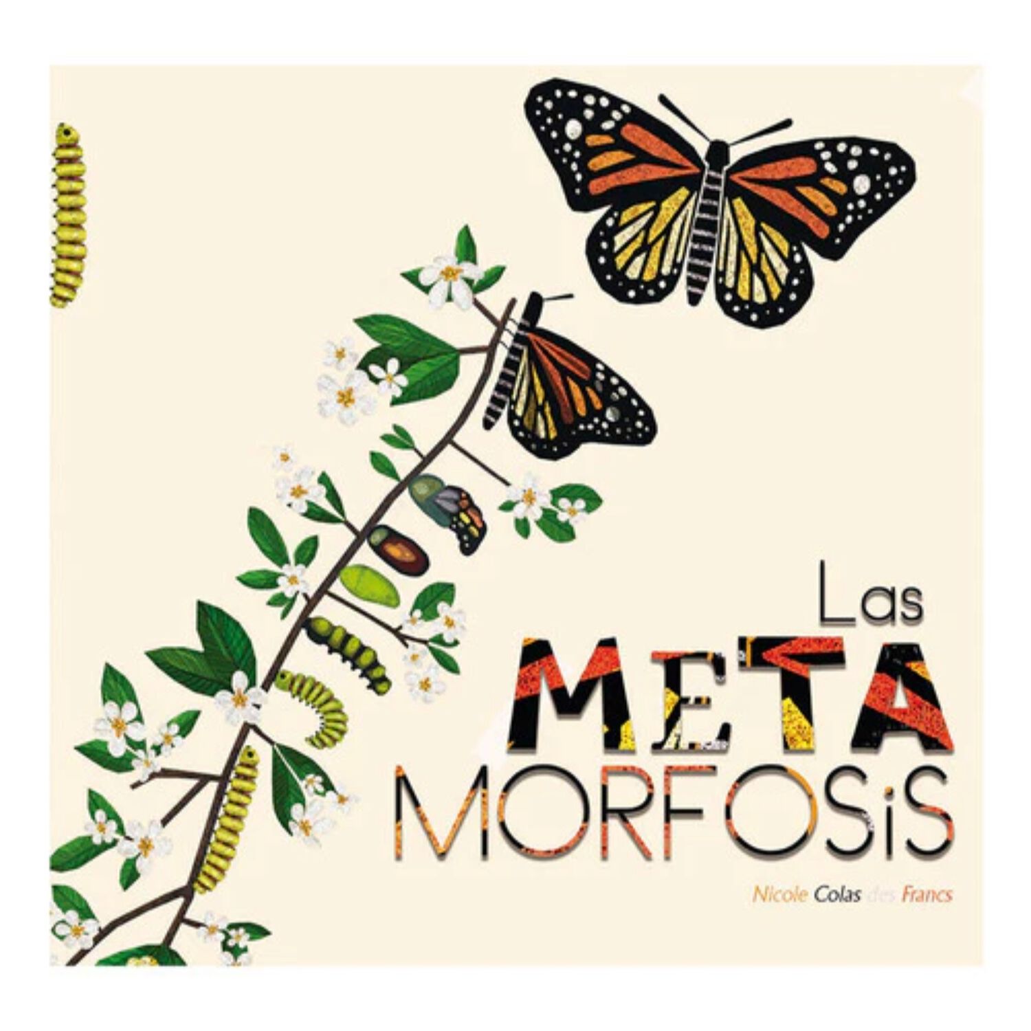 Las Metamorfosis image number 0.0