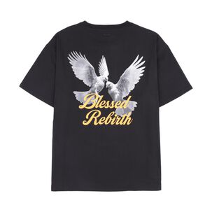 Polera Estampada Manga Corta Cuello Redondo Hombre Rolly Go