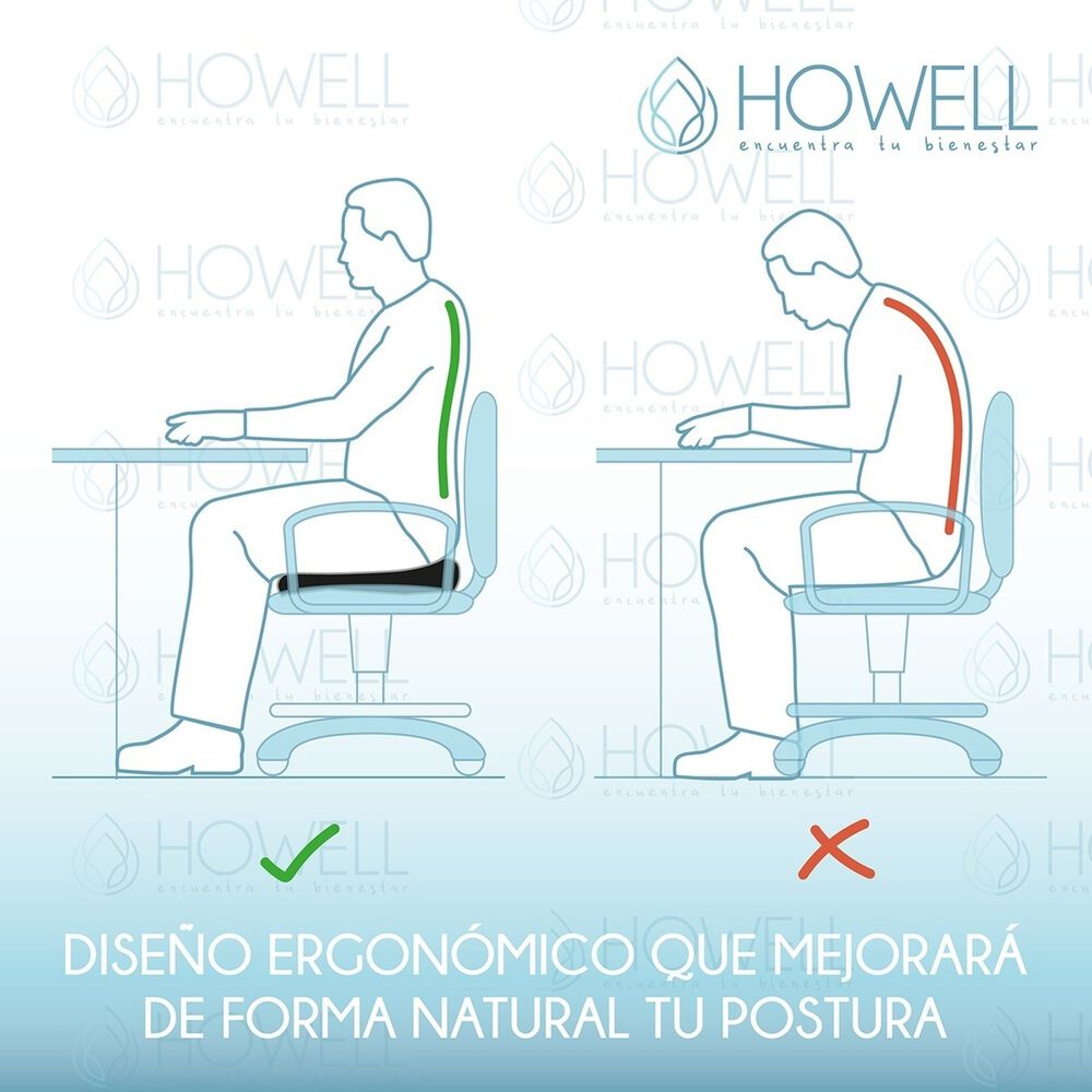 Coj&iacute;n Lumbar Ortop&eacute;dico Viscoel&aacute;stico Howell Asiento image number 4.0