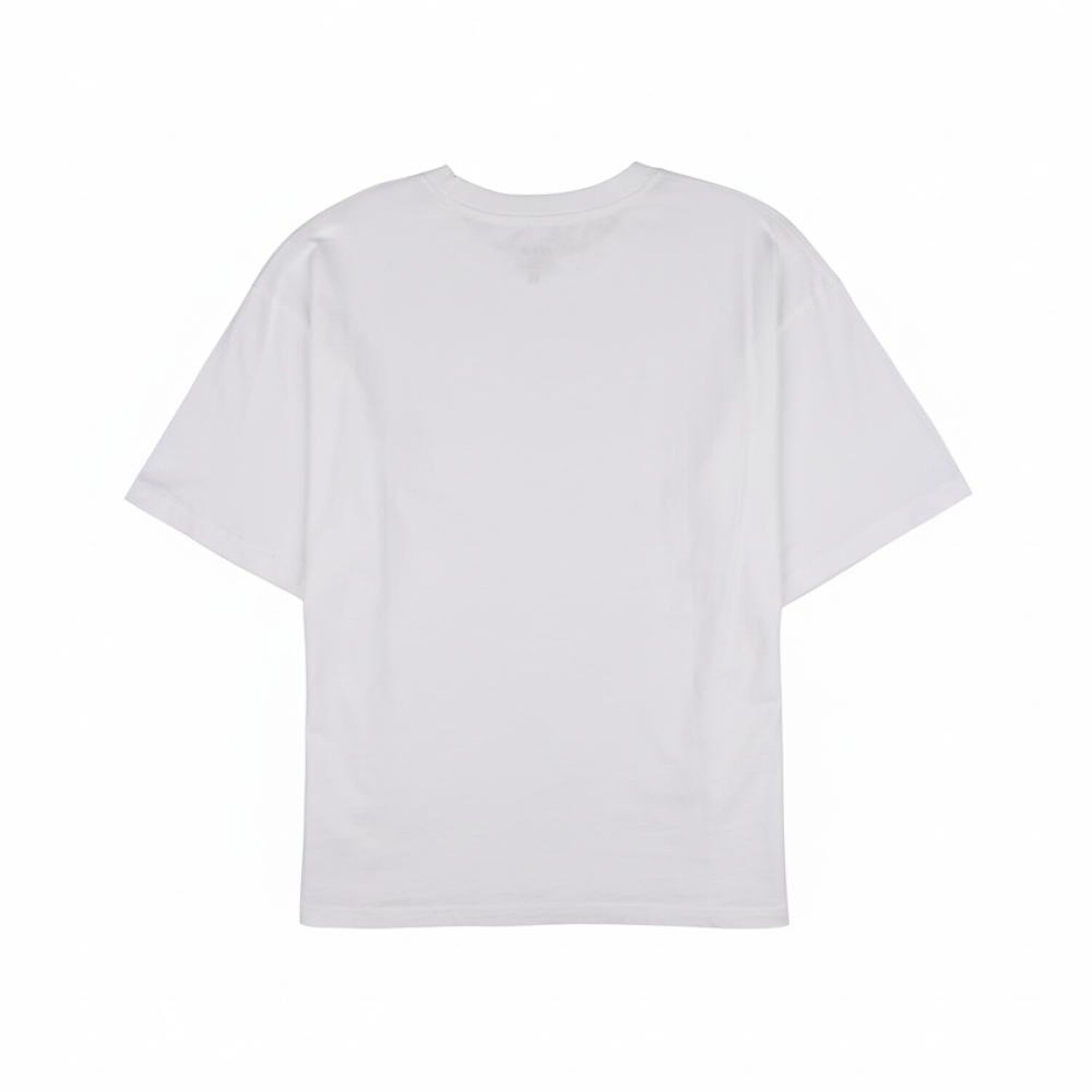 Polera Hombre Rolly Go image number 1.0