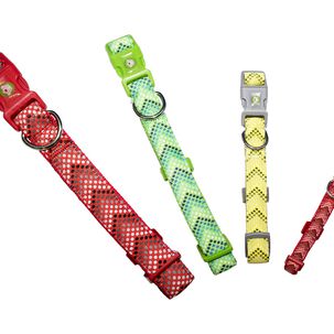 Collar Perro Puntitos S Rojo Mascan