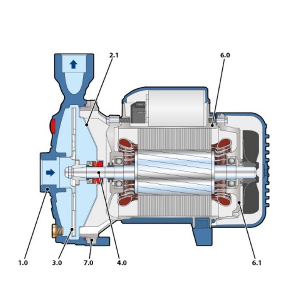 Bomba Centrifuga Pedrollo Cpm 158 1hp 220v image number 3.0