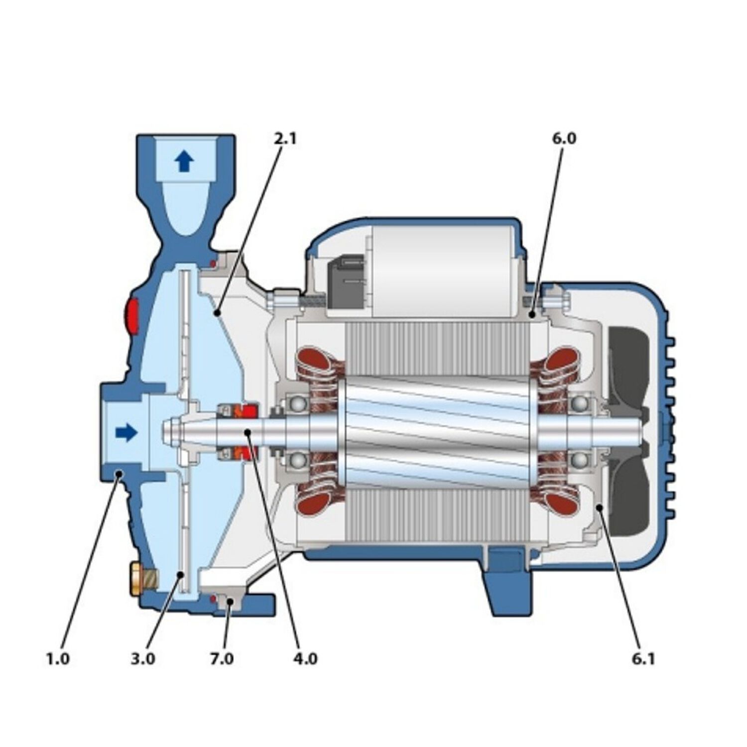 Bomba Centrifuga Cpm 158 1hp 220v Pedrollo image number 2.0