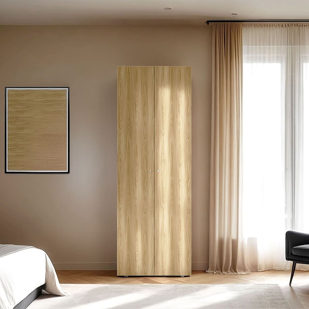 Closet 1 Colgador 2 Puertas 170x60x40,2 Cm image number 3.0