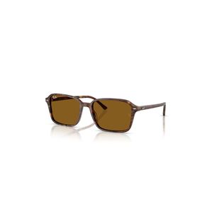 Lentes De Sol Raimond Marr&oacute;n Ray-ban