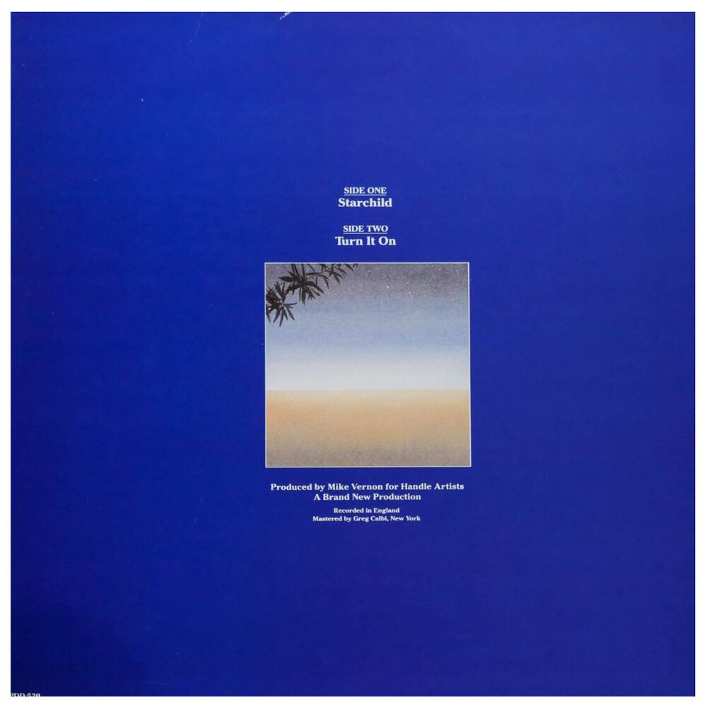 Level 42 - Turn It On / Starchild | 12" Maxi Single Usado image number 1.0