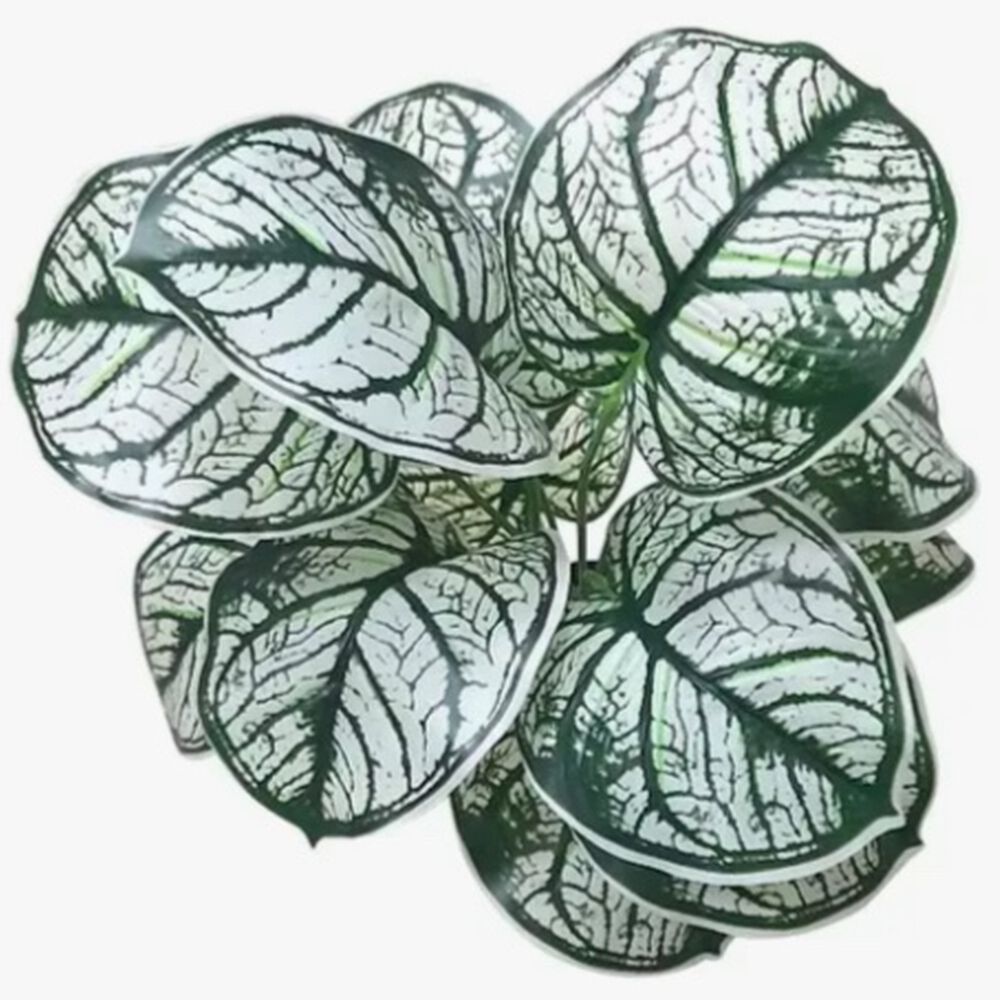 Planta Artificial Decorativa Aristada Blanca De 35cm image number 1.0