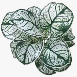 Planta Artificial Decorativa Aristada Blanca De 35cm