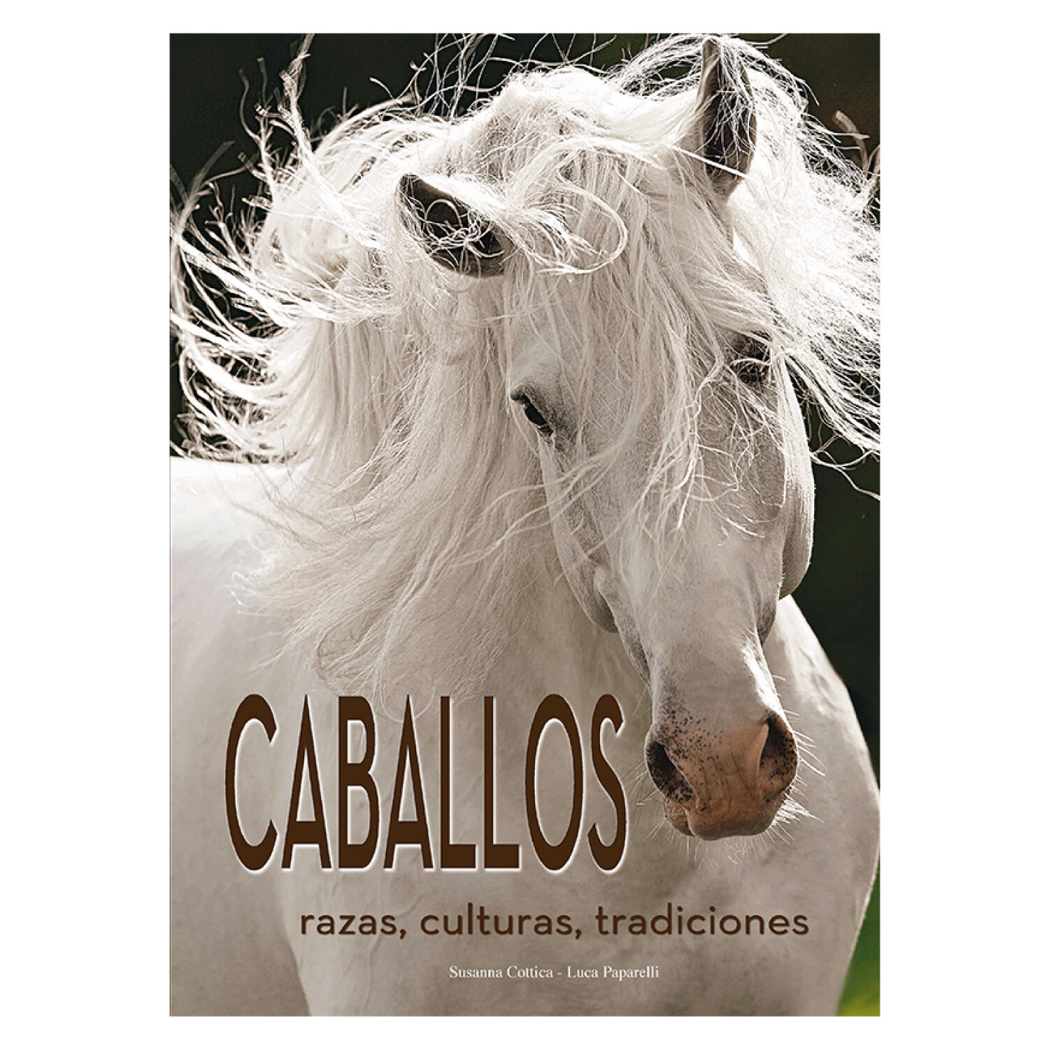 Caballos Razas Y Procedencias