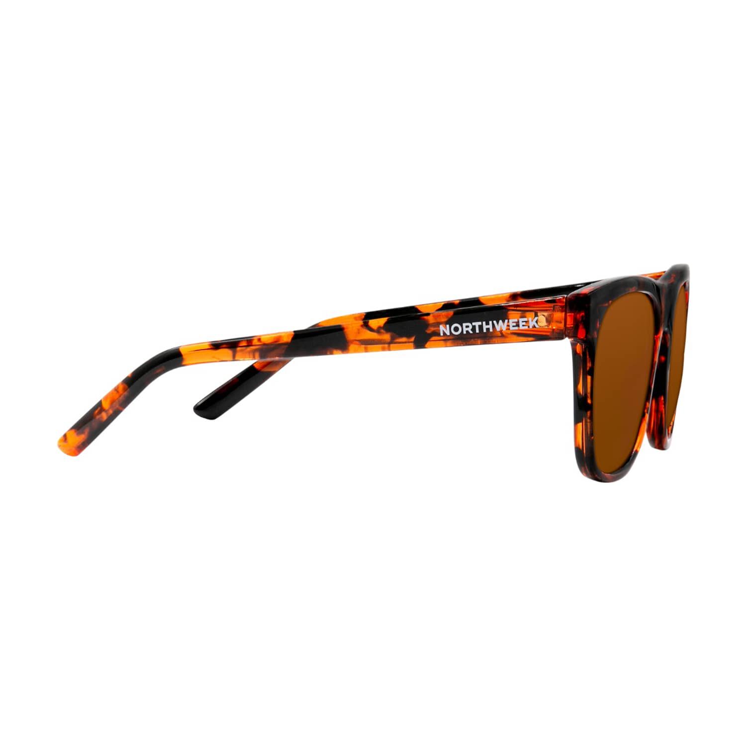 Lentes De Sol Marr&oacute;n Harvey Northweek image number 2.0