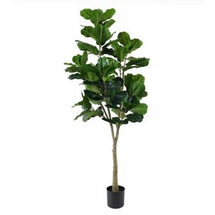 Planta Artificial Ficus Lyrata Deluxe180 Cm. / 88 Hojas Arbusto Real