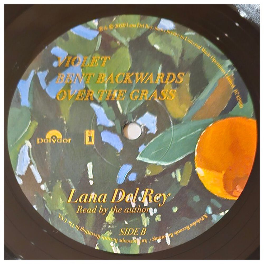 Lana Del Rey - Violet Bent Backwards Over The Grass | Vinilo image number 8.0