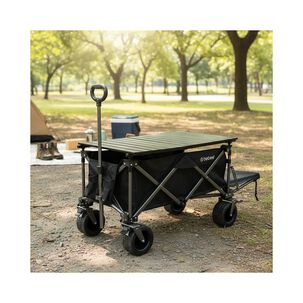Carro De Arrastre 3 En 1 Outdoor Negro
