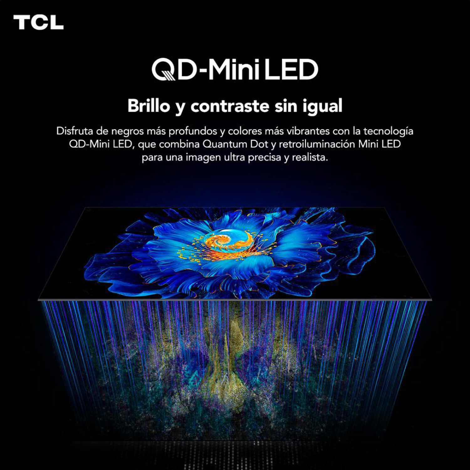Miniled 50" TCL C6KS / Ultra HD / Smart TV image number 2.0