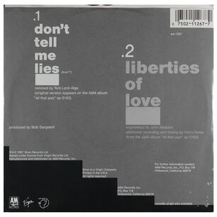 Breathe - Don't Tell Me Lies | 7" Single Usado