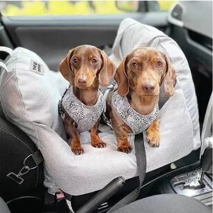 Asiento De Auto Perro Peque&ntilde;o, Premium, Lavable