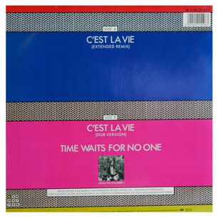 Robbie Nevil - Ces't La Vie | 12" Maxi Single Usado