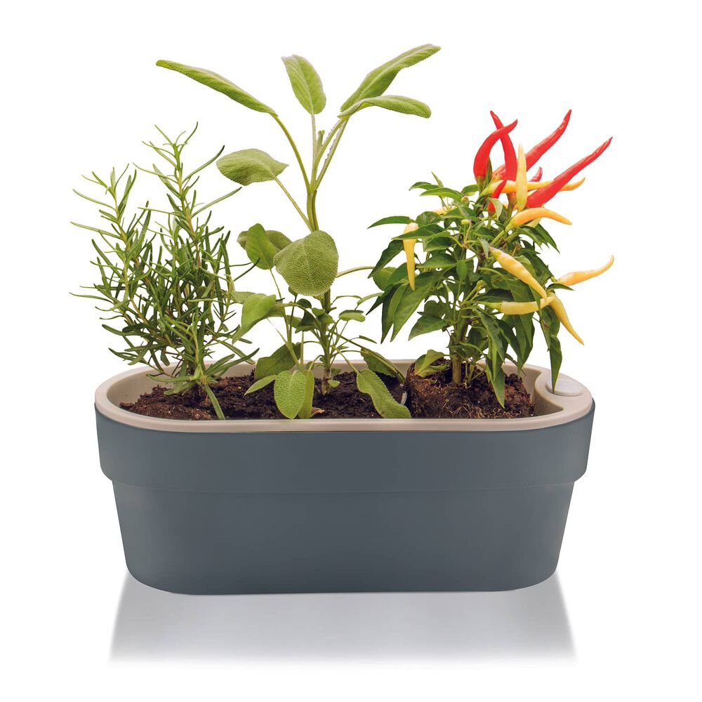 Macetero Huerta Auto Riego Gris 29 X 11 Cm image number 3.0