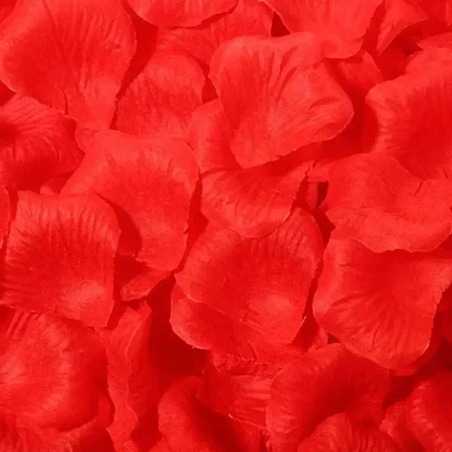 Pack 2000 Petalos Rosas Decorativa Rom&aacute;ntica Rojo O Rosado image number 3.0