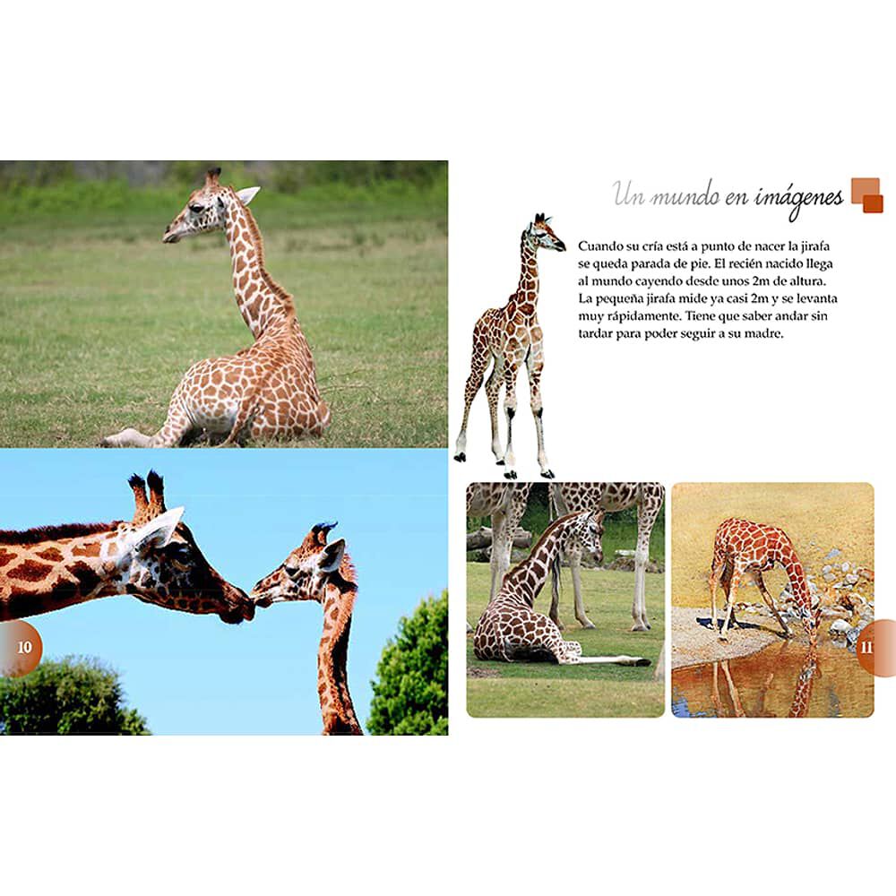 Los Animales Del Mundo image number 1.0