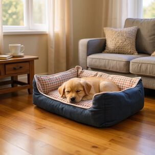 Cama Para Mascotas Espuma - Talla M (azul)