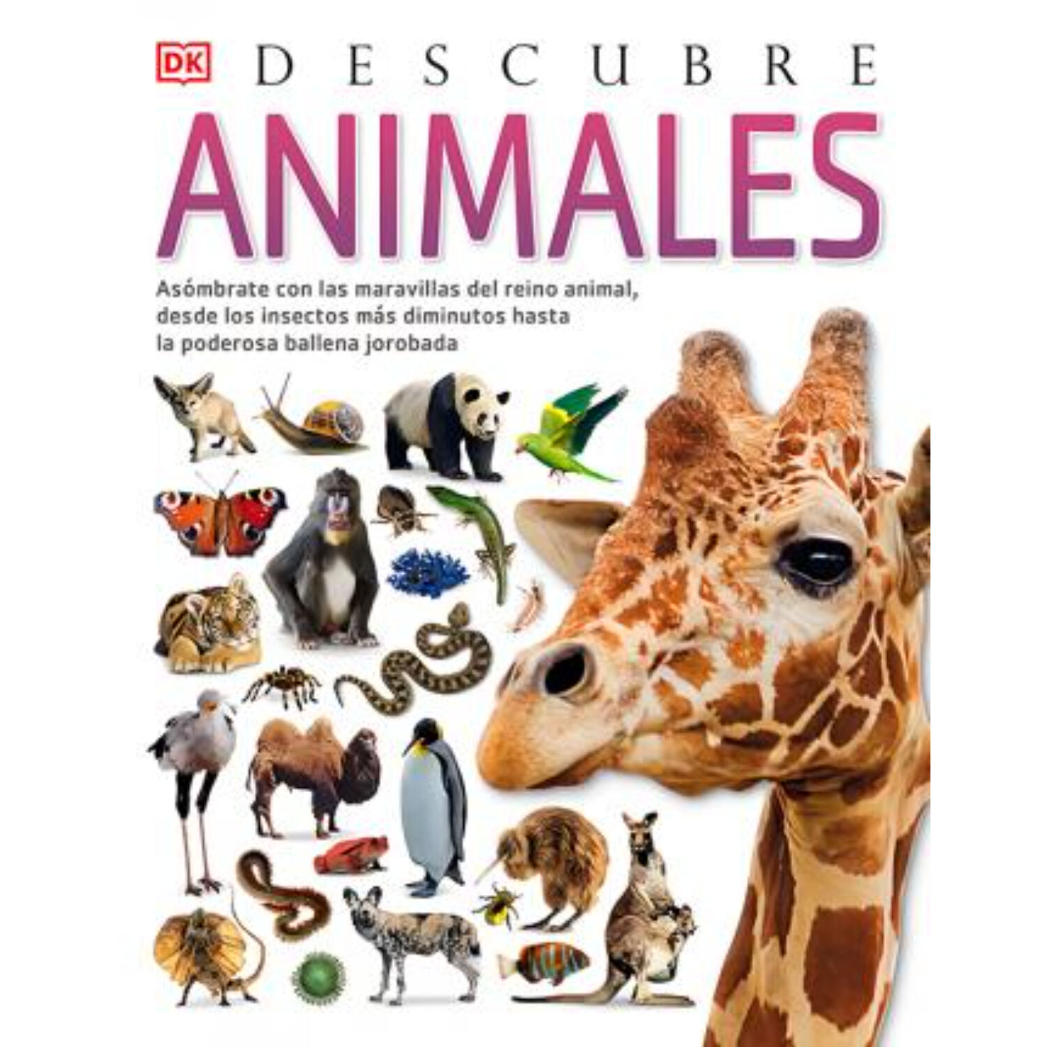 Descubre Los Animales image number 0.0