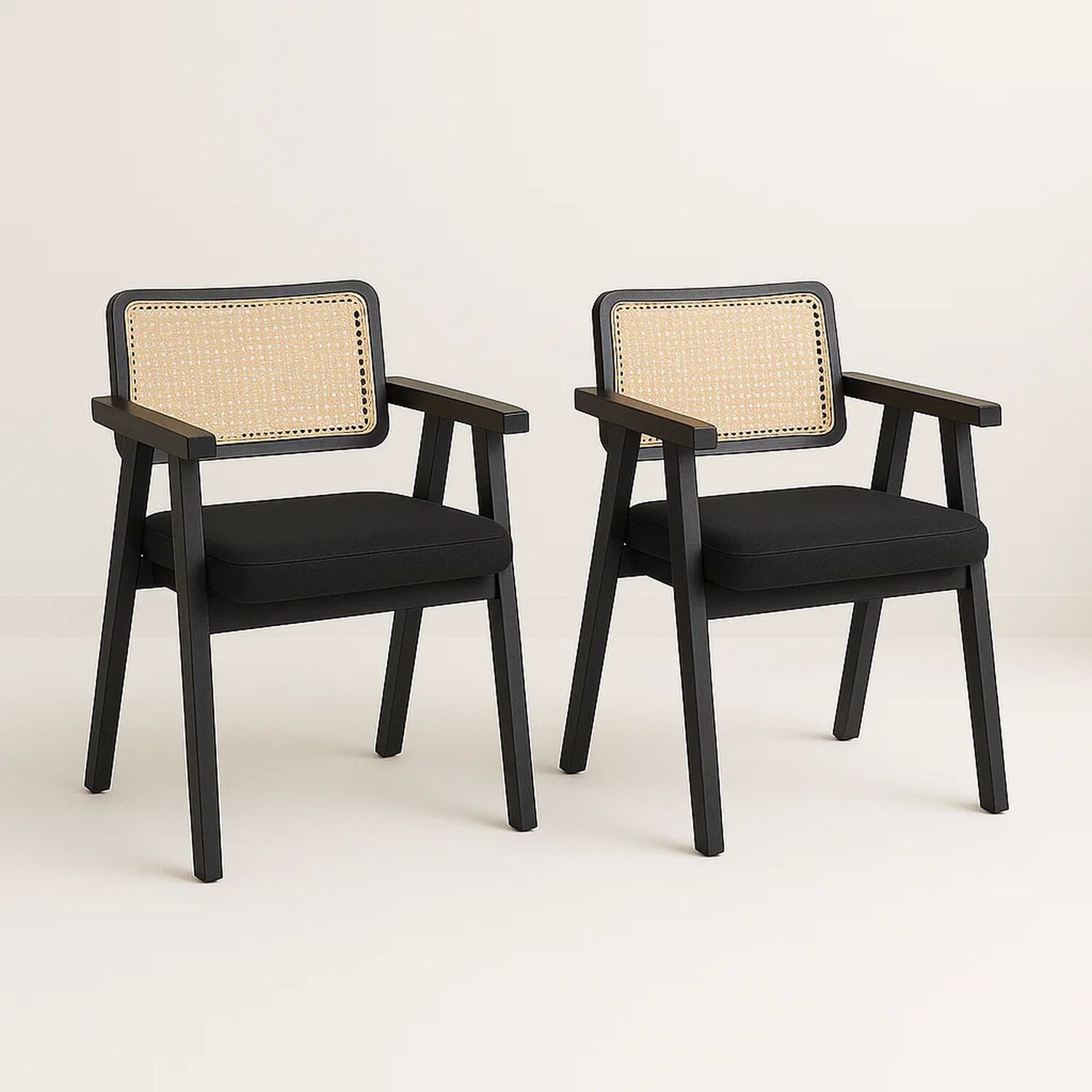 Pack De 2 Sitiales Acolchado Chandigarh Butaca Rattan - Negro image number 0.0