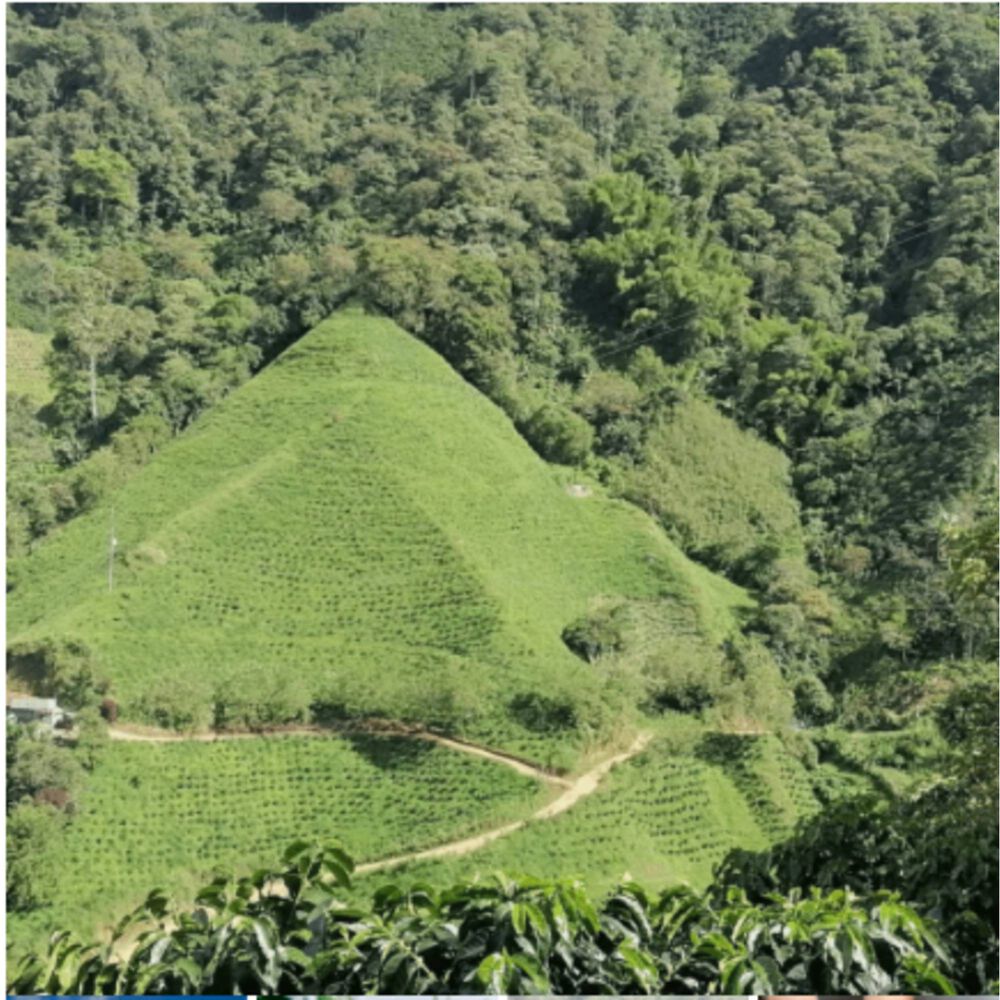 Cafe Molido Nosso Cafe Justo Tropical Blend 250g image number 10.0