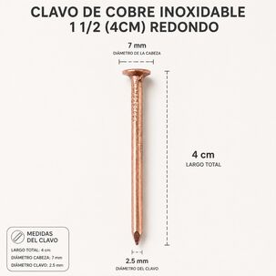 Clavo De Cobre Inoxidable 1 1/2 (4cm) Dise&ntilde;o Redondo 100un