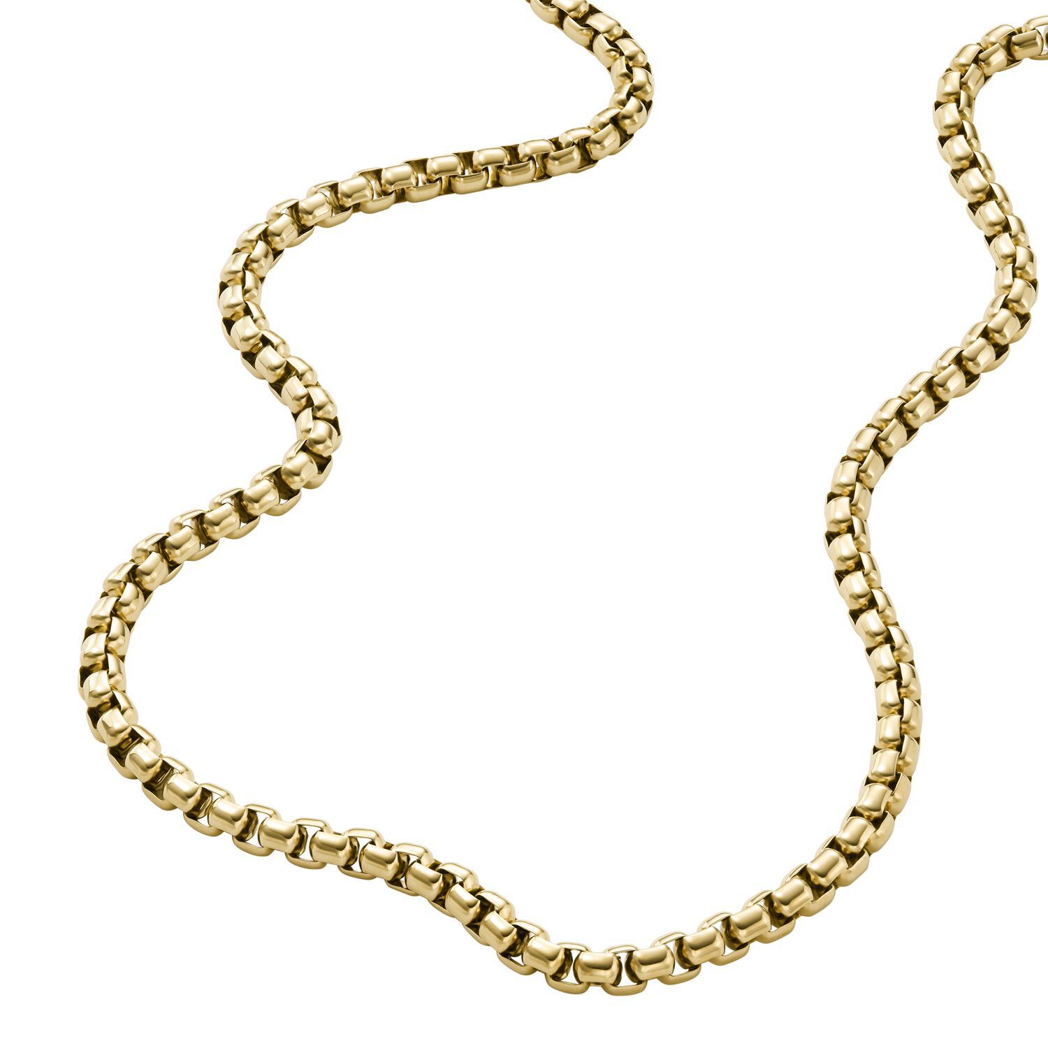 Collar Fossil Jf04575710 Dorado image number 0.0