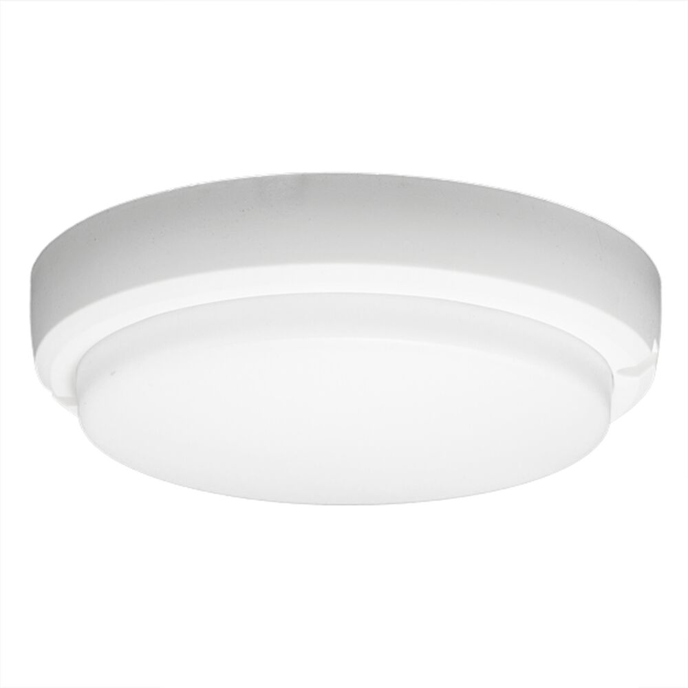 Luminaria Led Redonda Tortuga De 8w, Protección Ip44 Y Luz Día image number 0.0