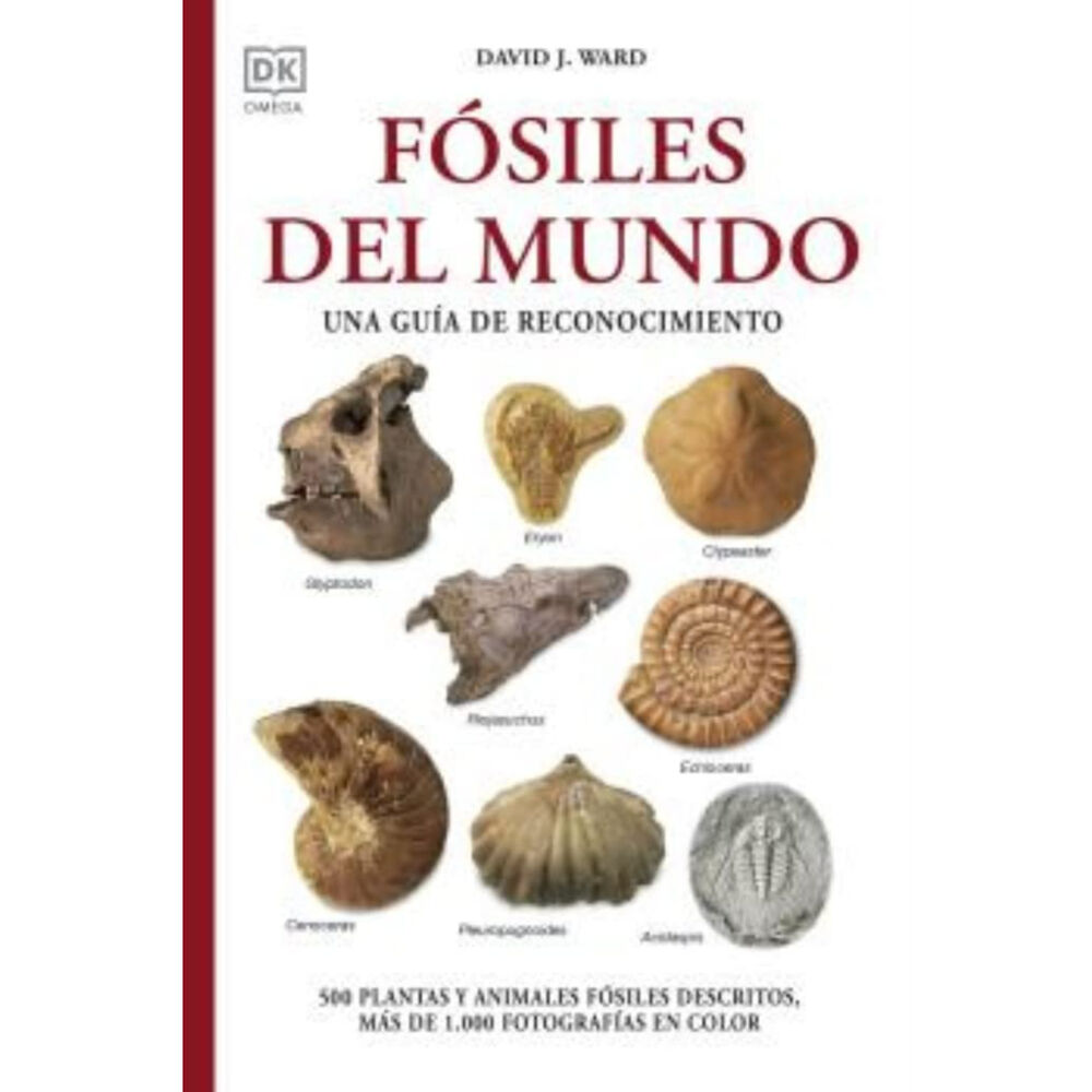 Fósiles Del Mundo image number 0.0