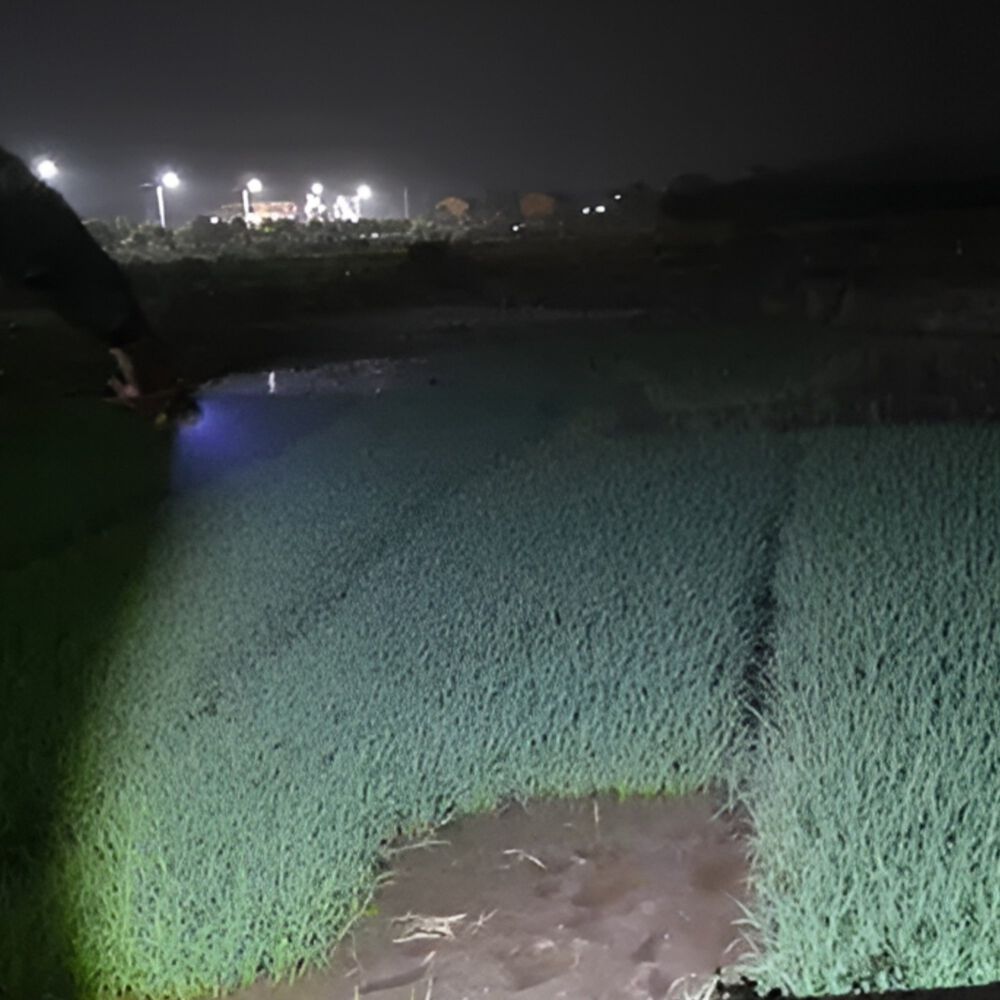 Linterna Led Profesional Multi Uso Con Zoom High Power T6 image number 2.0