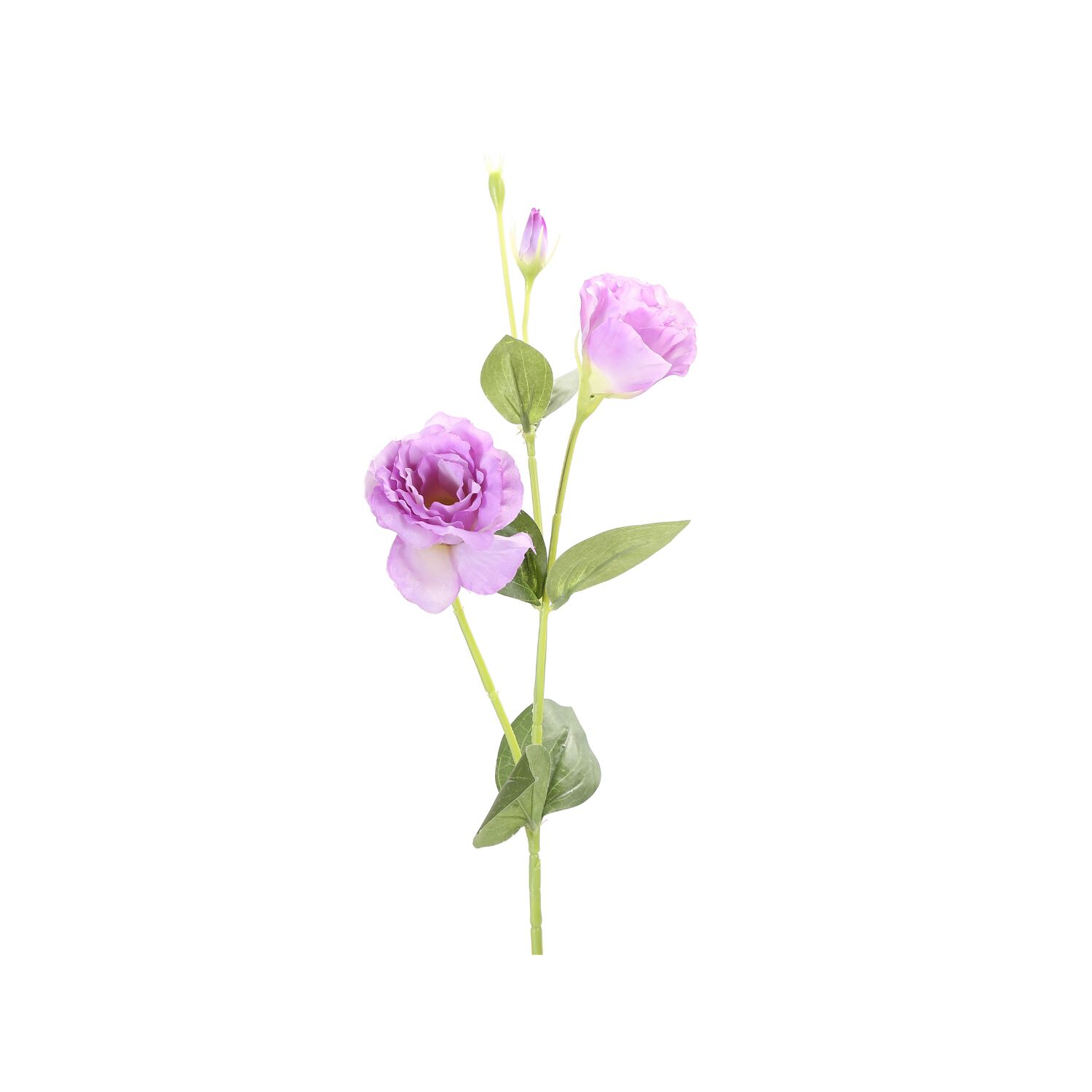 Vara Lisianthus P&uacute;rpura 82 Cm image number 0.0
