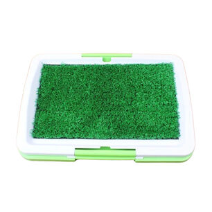 Ba&ntilde;o Entrenamiento Ecol&oacute;gico Perros Mascotas Lavable 47x34x6 Cm