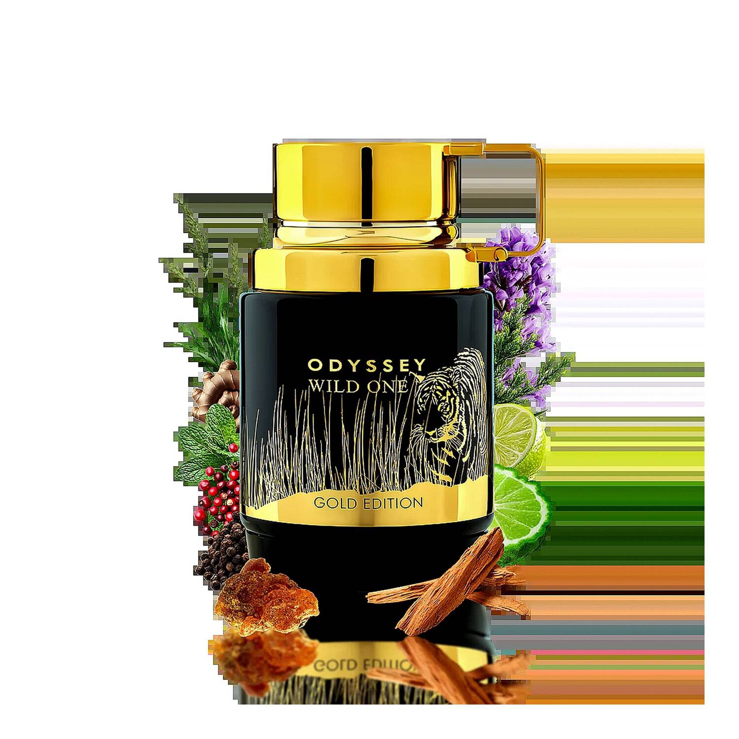 Armaf Odyssey Wild One Gold Edition Men Edp 100ml image number 1.0