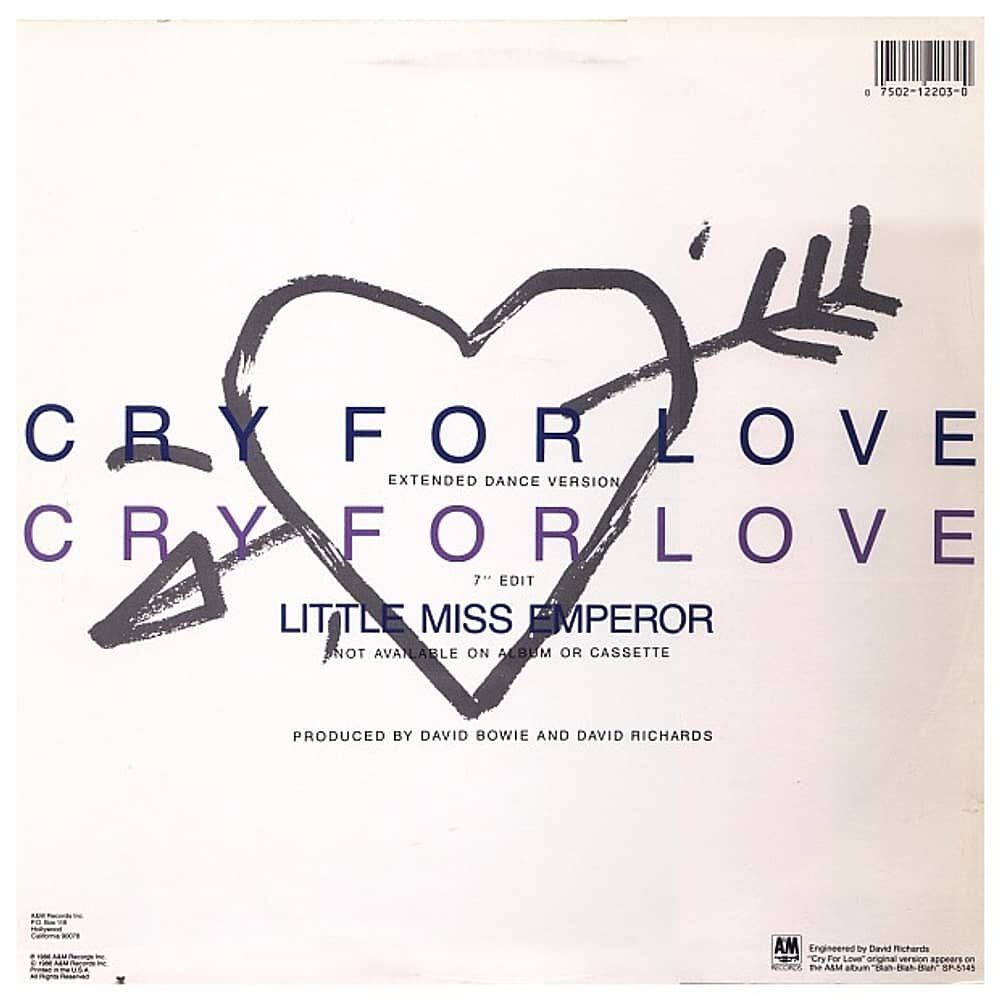 Iggy Pop - Cry For Love | 12" Maxi Single Usado image number 1.0