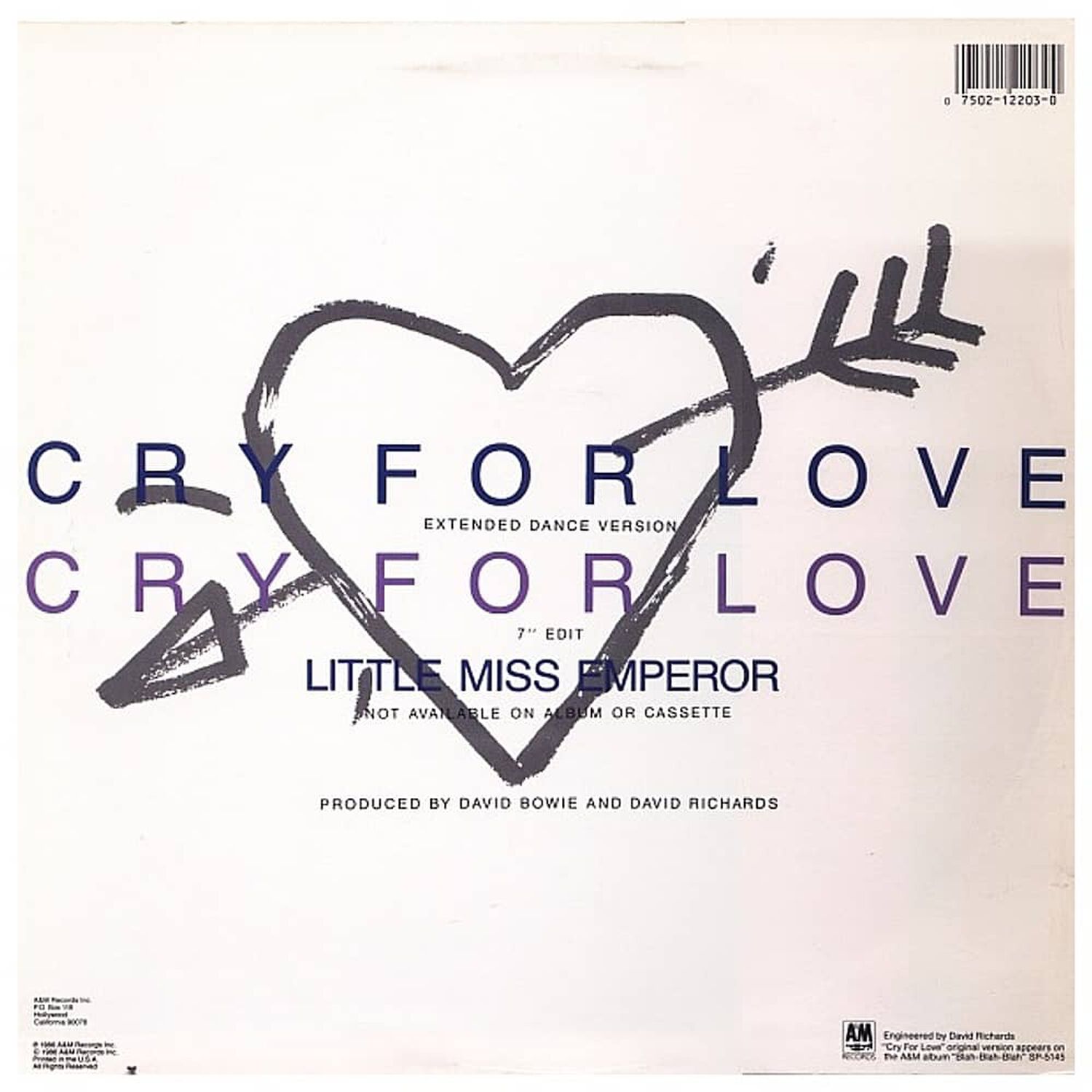 Iggy Pop - Cry For Love | 12" Maxi Single Usado image number 1.0