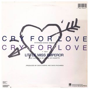 Iggy Pop - Cry For Love | 12" Maxi Single Usado