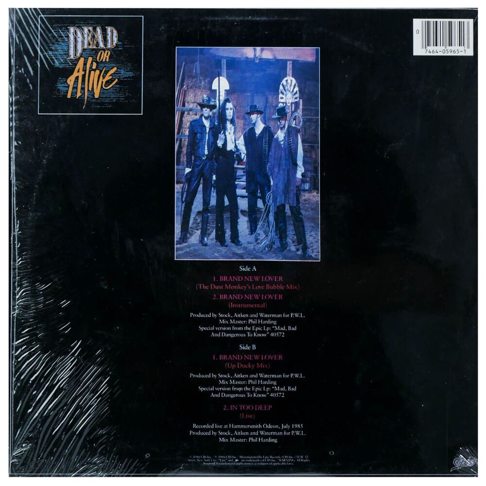 Dead Or Alive - Brand New Lover | 12" Maxi Single Usado image number 1.0