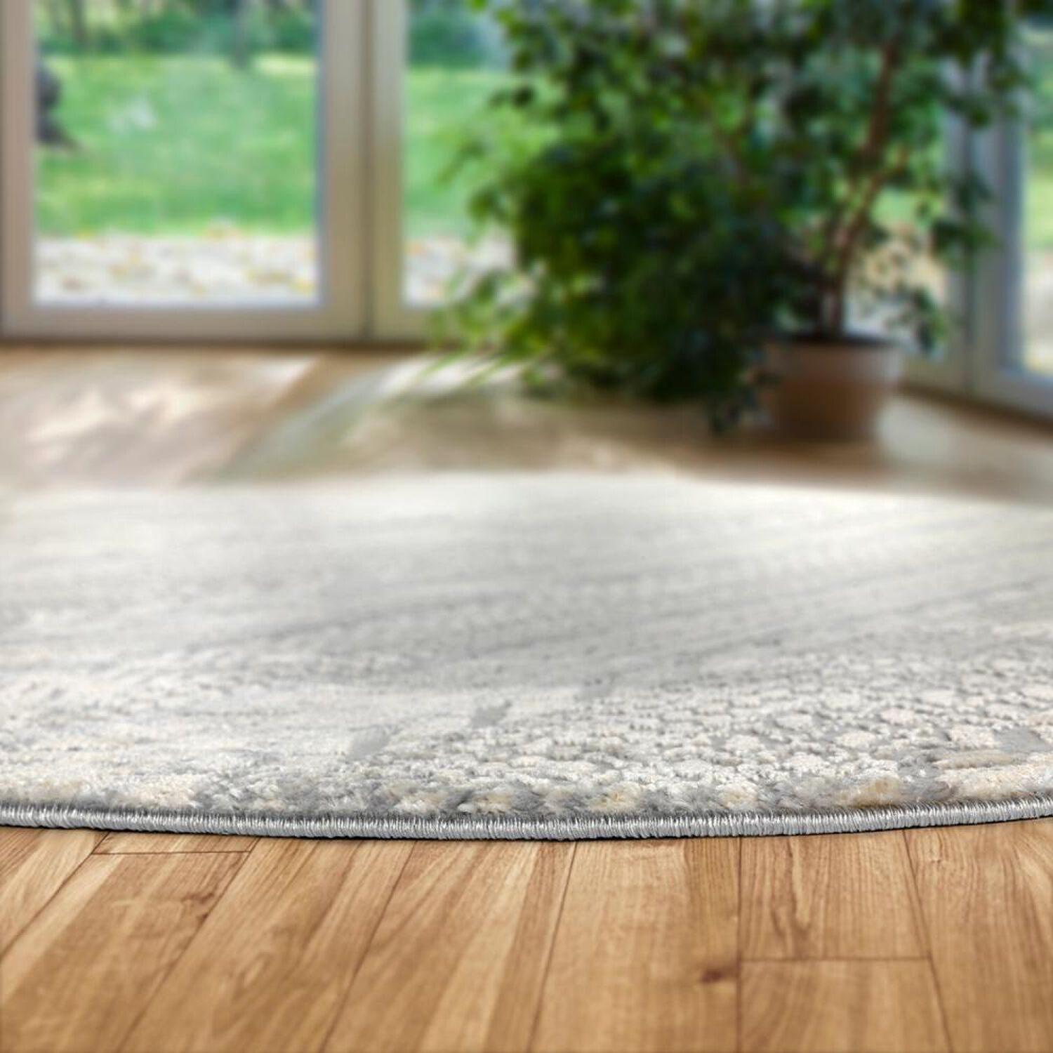Alfombra Modalfo Florida / 160x160 Cm image number 4.0