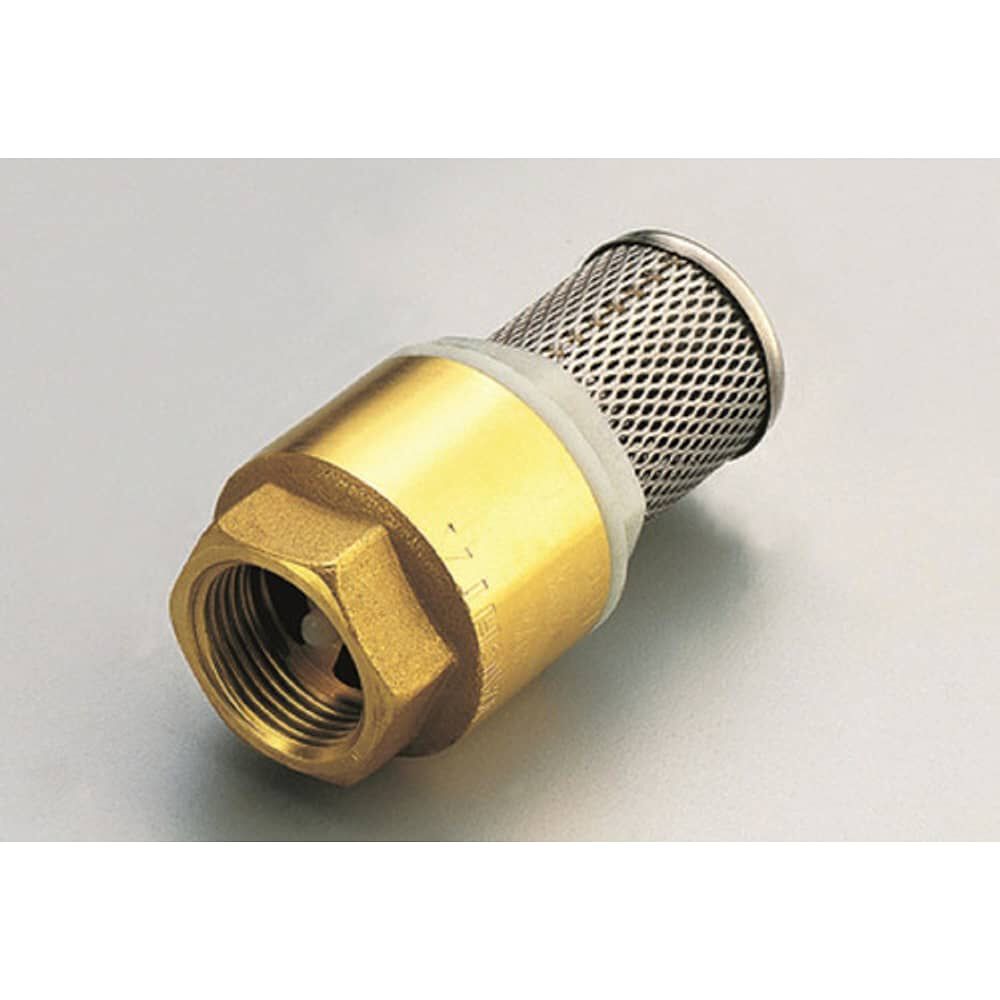 Valvula De Pie 2'' Tiemme image number 0.0