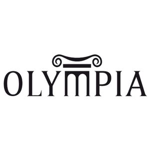 Set Guitarra Electroac&uacute;stica Ags800