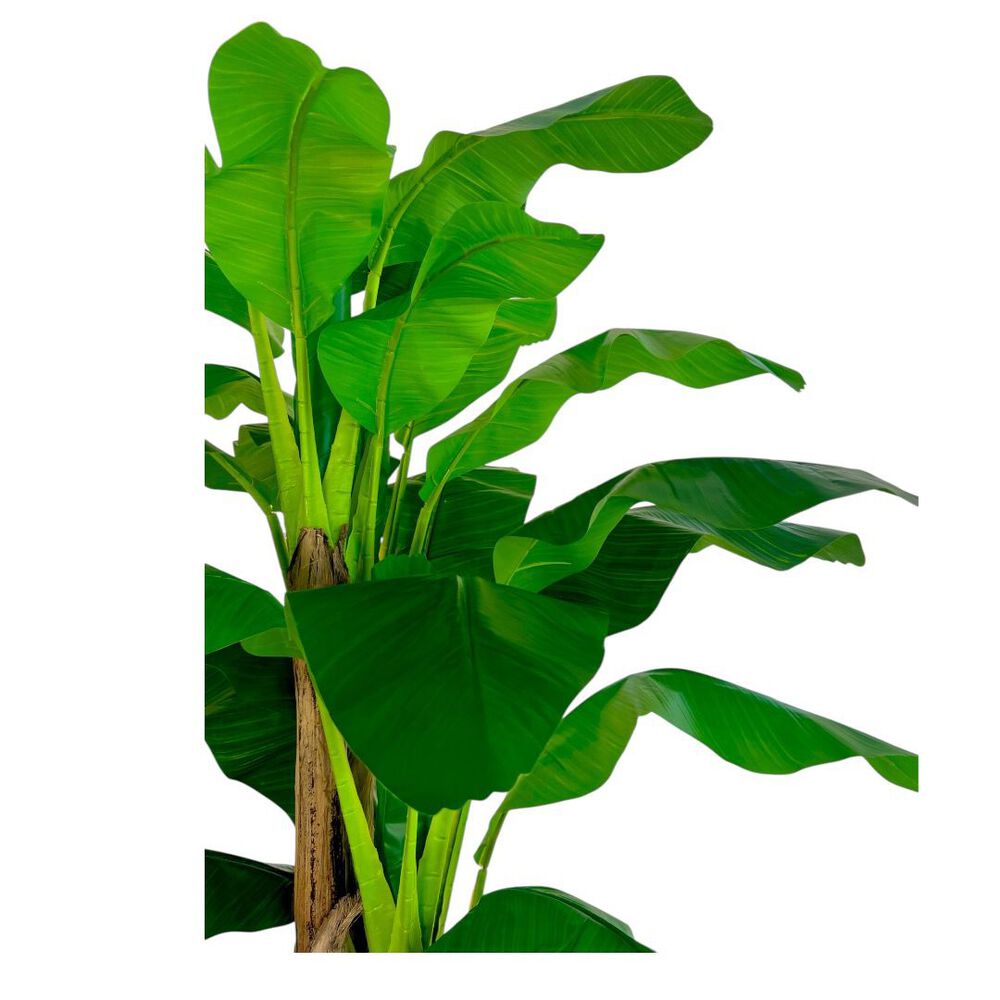 2x1 Plantas Artificiales Premium Banano 180 Cm Arbusto Real image number 3.0