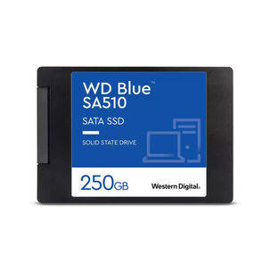 Disco Solido Ssd Interno Wd Sa510 Blue 250gb 6 Gb/s 555mb/s