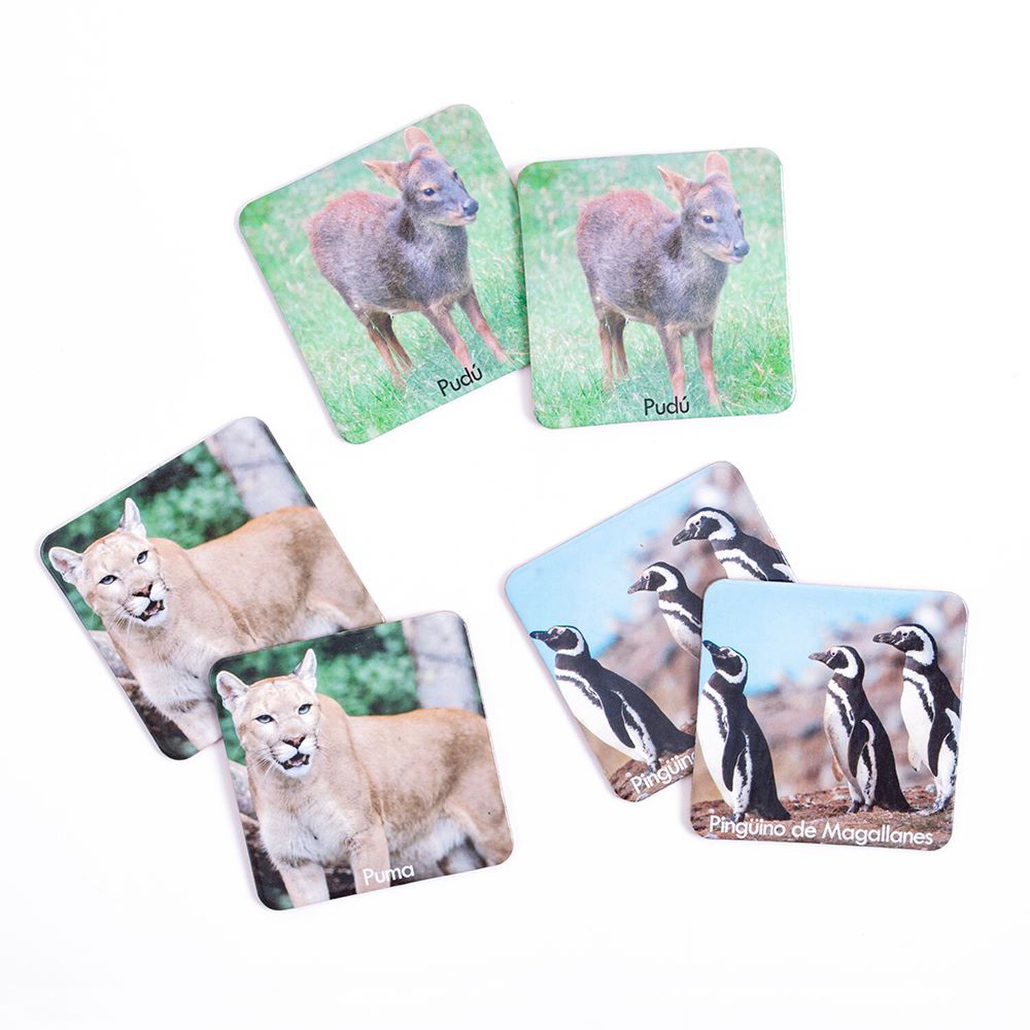 Memorice Plus Fauna Chilena image number 2.0