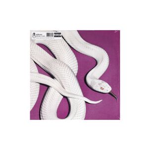 Deftones - Private Music (fog White Vinyl) (alternate Cover) | Vinilo