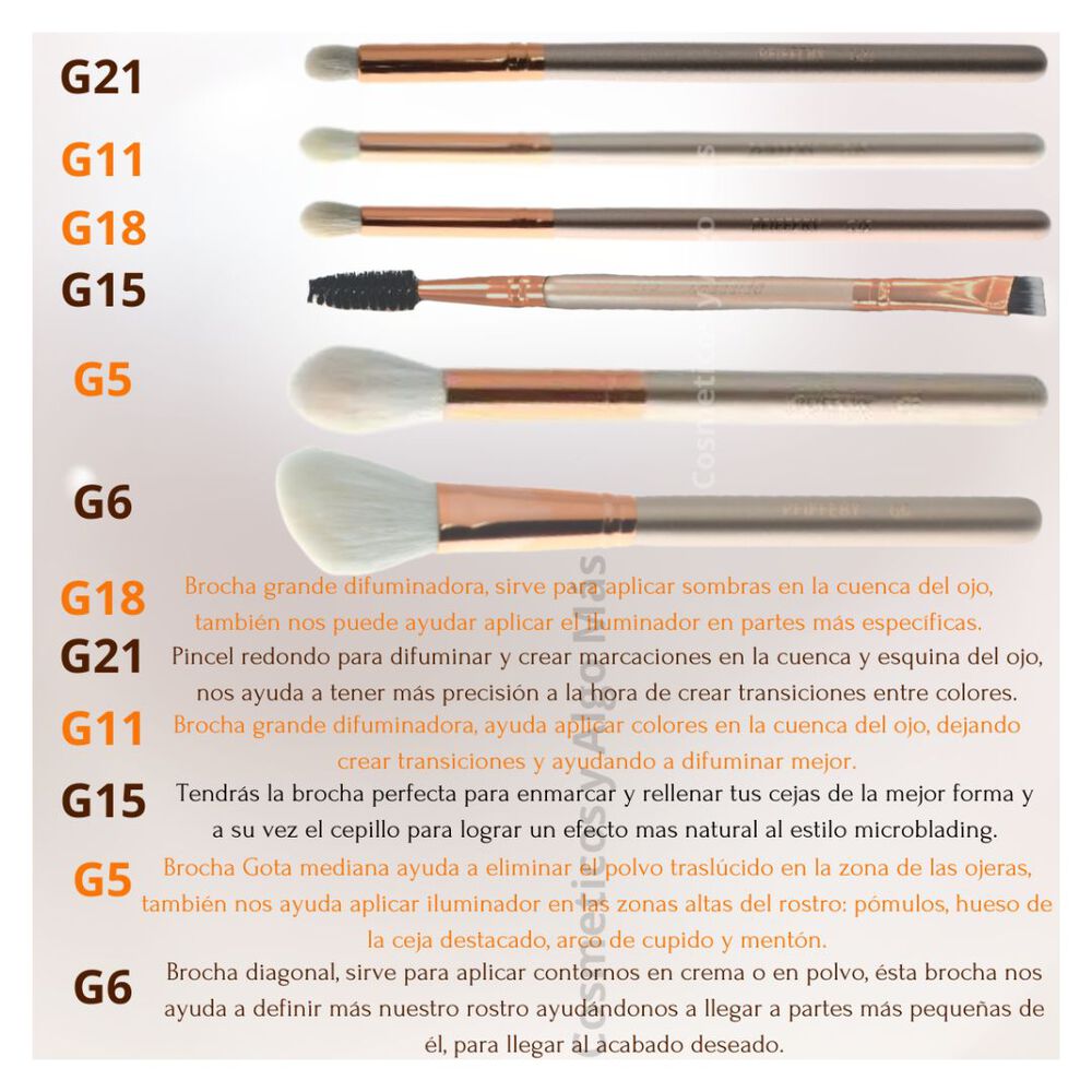 Set De 6 Brochas Profesionales De Maquillaje Con Estuche image number 1.0